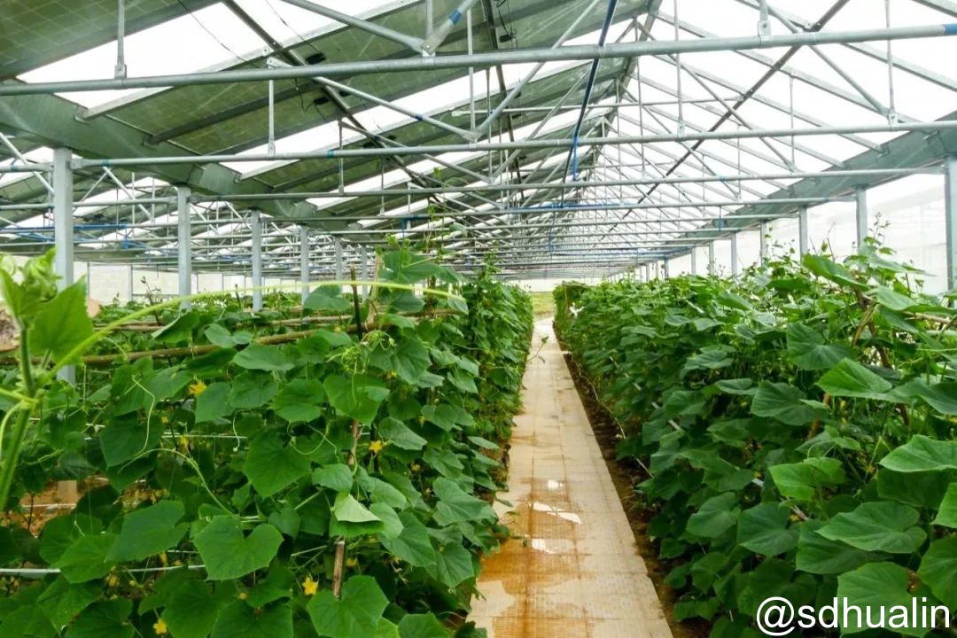 “光伏+農(nóng)業(yè)”八大模式 你了解多少? “光伏+農(nóng)業(yè)”八大模式 你了解多少?