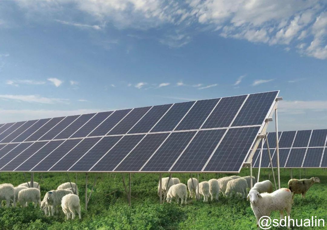 “光伏+農(nóng)業(yè)”八大模式 你了解多少? “光伏+農(nóng)業(yè)”八大模式 你了解多少?