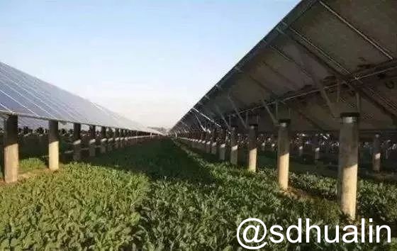 “光伏+農(nóng)業(yè)”八大模式 你了解多少? “光伏+農(nóng)業(yè)”八大模式 你了解多少?