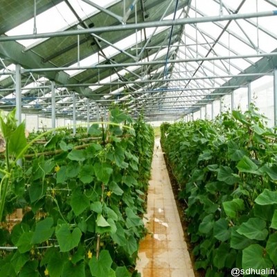 【華臨光伏】“光伏+農業(yè)”八大模式你了解多少？