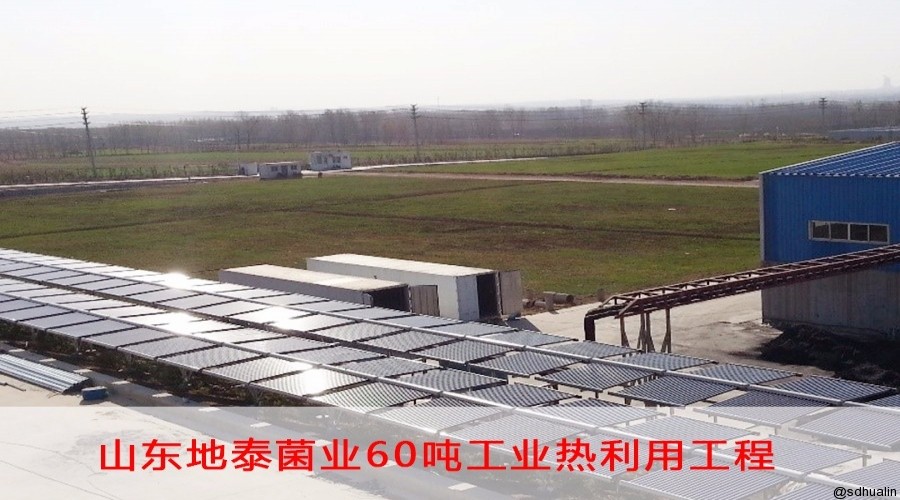 山東地泰菌業有限公司