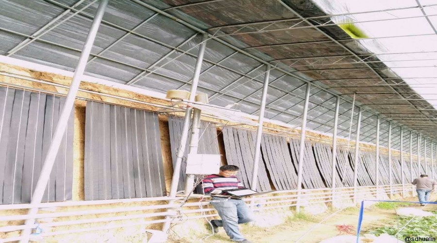 蘭陵縣溫室大棚項目