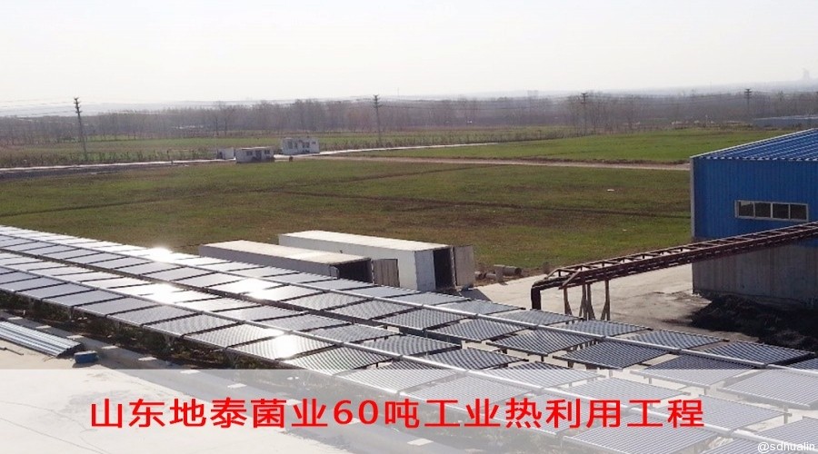 山東地泰菌業有限公司